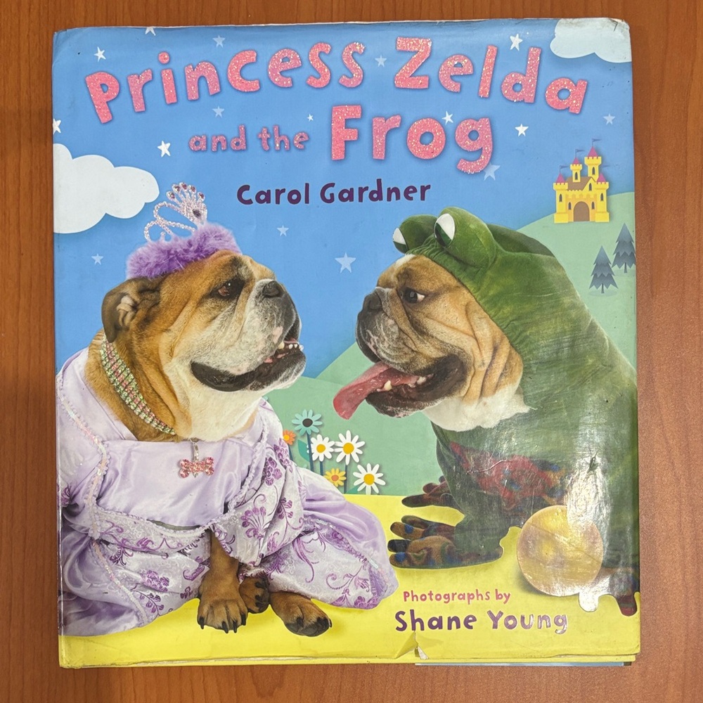 Princess Zelda and the Frog Book